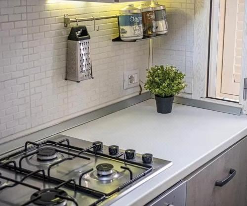 Home Passion One-Bedroom Apartment