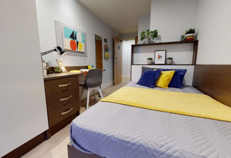 高级单人房-禁烟