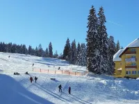 Burg Hotel Feldberg Ξενοδοχεία στην πόλη Feldberg