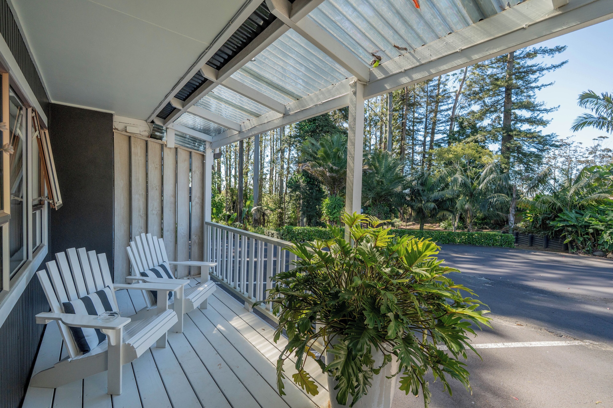 行政开间套房， 1 张特大床， 泳池景观