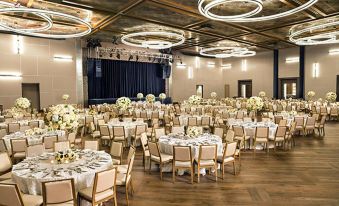 Live Tulcea Hotel - Housity