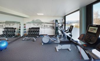 a well - equipped gym with various exercise equipment , including treadmills , weight machines , and a treadmill mat at Hilton Garden Inn Zurich Limmattal