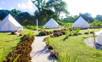 a serene outdoor setting with three white tents , surrounded by lush greenery and palm trees at Le Life Resort