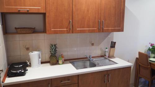 标准一卧室公寓