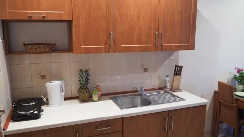 标准一卧室公寓