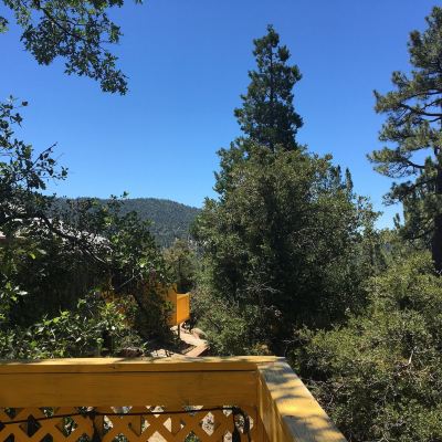 Standard Room, 1 Queen Bed, Non Smoking (Grand View - Pet Friendly) Idyllwild Bunkhouse Promo Code