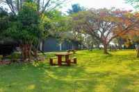 Spring Resort Hotels in 