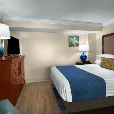 Tower Oceanfront King Suite Sea Crest Oceanfront Resort Promo Code