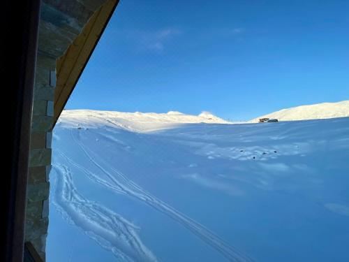 带山景的双人间