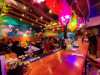 Lobo Hostel la Paz Hotels in 