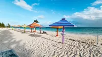 NEW Stunning Beachfront Condo at the Coral Beach