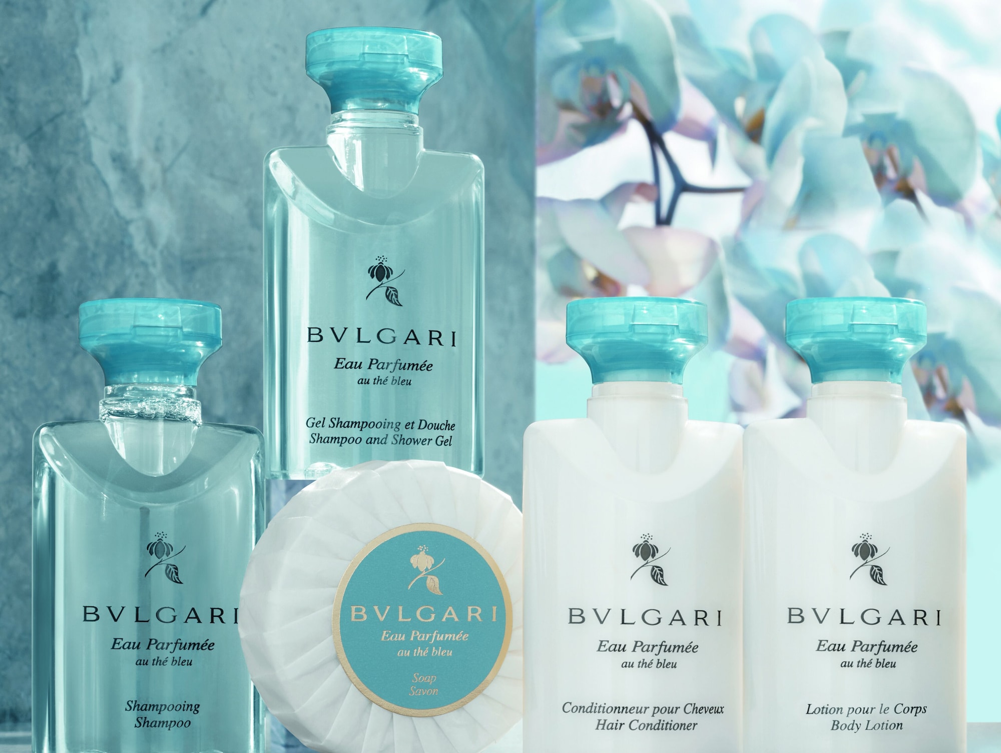 小型套房（带海景的）