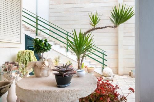 高级两卧室公寓