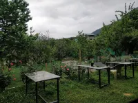 Madpackers Manali