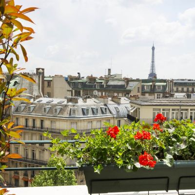Junior Suite Avenue Tour Eiffel Hôtel Napoleon Paris Promo Code