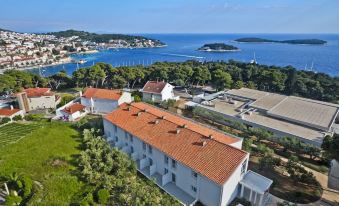 Violeta Hvar - Housity