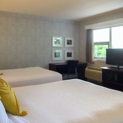 標準房， 2 張雙人床 羅德蒙克頓酒店優惠