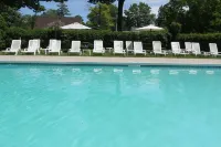 Saga Resort