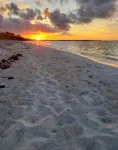 Beach Front Villa のホテル
