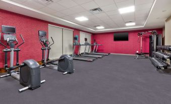 a gym with various exercise equipment , including treadmills and stationary bikes , is shown in this image at Home2 Suites by Hilton Battle Creek