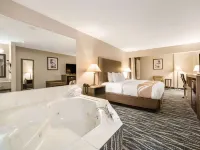 Quality Inn Hotels in Effingham County