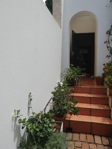 泳池景特大床套房