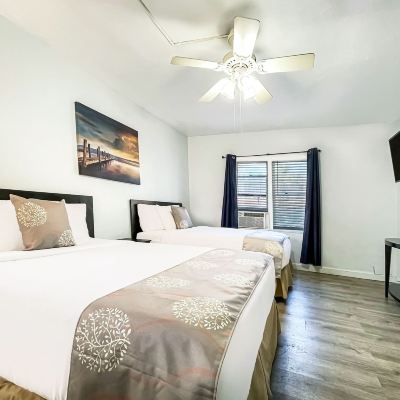 Deluxe Room The Palms Promo Code