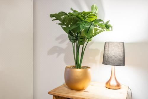 Millennium View by T? SA One-Bedroom Apartment