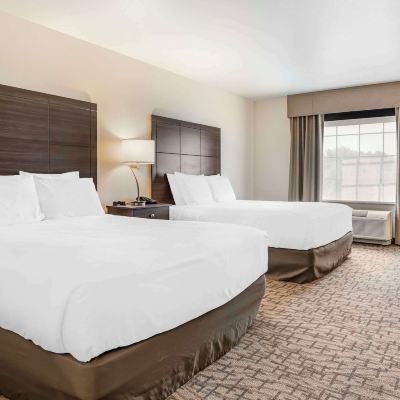 2 Queen Beds, Accessible Room, Non-Smoking Comfort Inn & Suites Promo Code