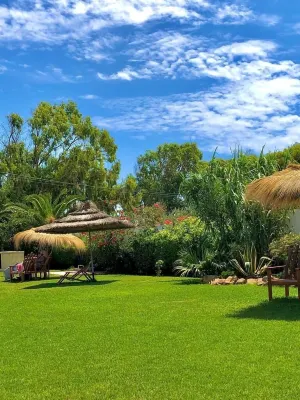 Dar Oguz Hotels in 