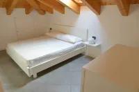 تشيتشي ديباندانسي