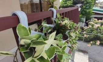 Arenal Cozy Apartment - Housity