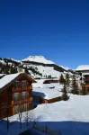 Hotel der Berghof Hotels in 