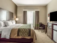 Comfort Inn & Suites Snyder Hotels in Snyder
