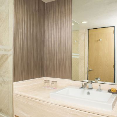 Brisas Business Club King Galeria Plaza Reforma Promo Code