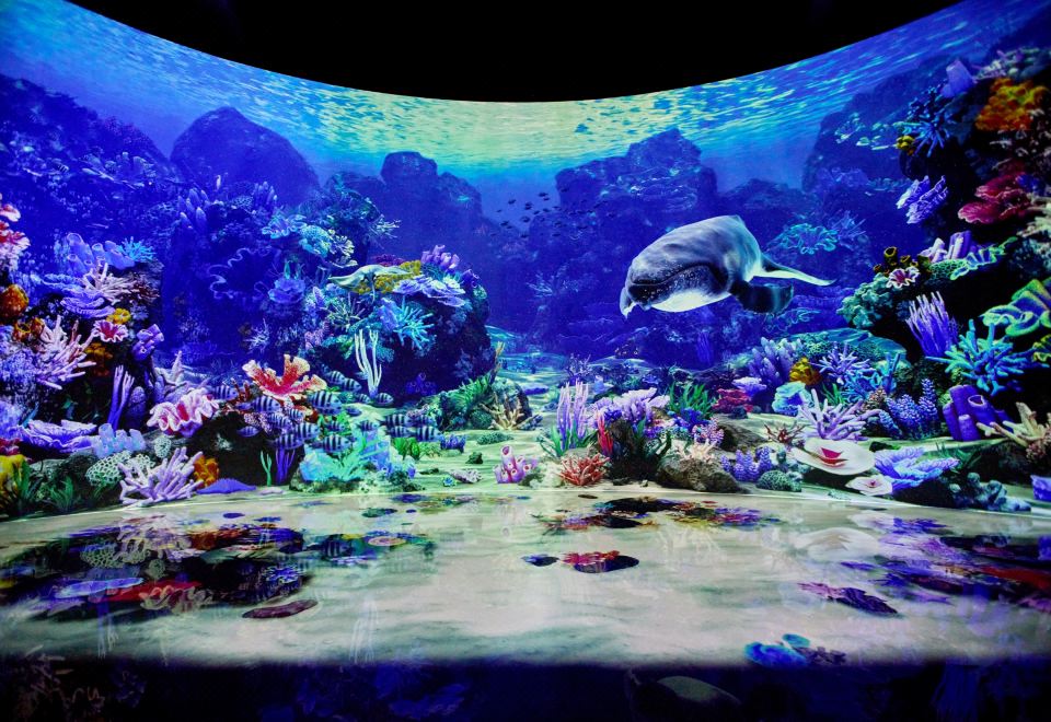 InterContinental Hotels ALPENSIA PYEONGCHANG RESORT by IHGStandard King Room With Lake View