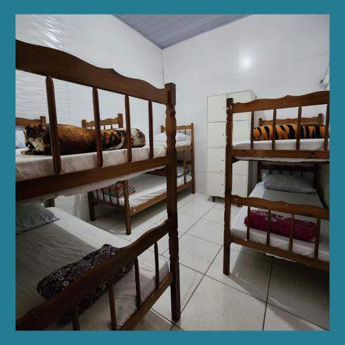 混合宿舍中的上下铺床位