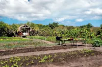 Anantara Bazaruto Island Resort โรงแรมใน