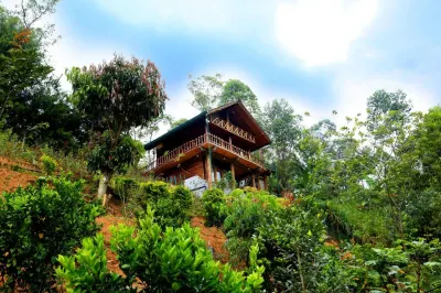 Top Mountain Resort Hotel di 