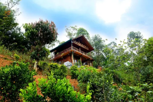 Top Mountain Resort