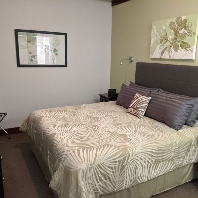 Luxury Suite, Private Bathroom (the Michigan) Teerman Lofts Promo Code