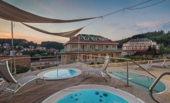 Alexandria Spa & Wellness Hotel - Housity