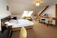 Hotel U Zeleneho Stromu Hotels in 