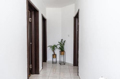 豪华园景双卧室公寓