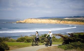 Beachfront Cottages Torquay - Housity
