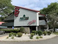 Red Roof Inn Mystic - New London Hotéis em 