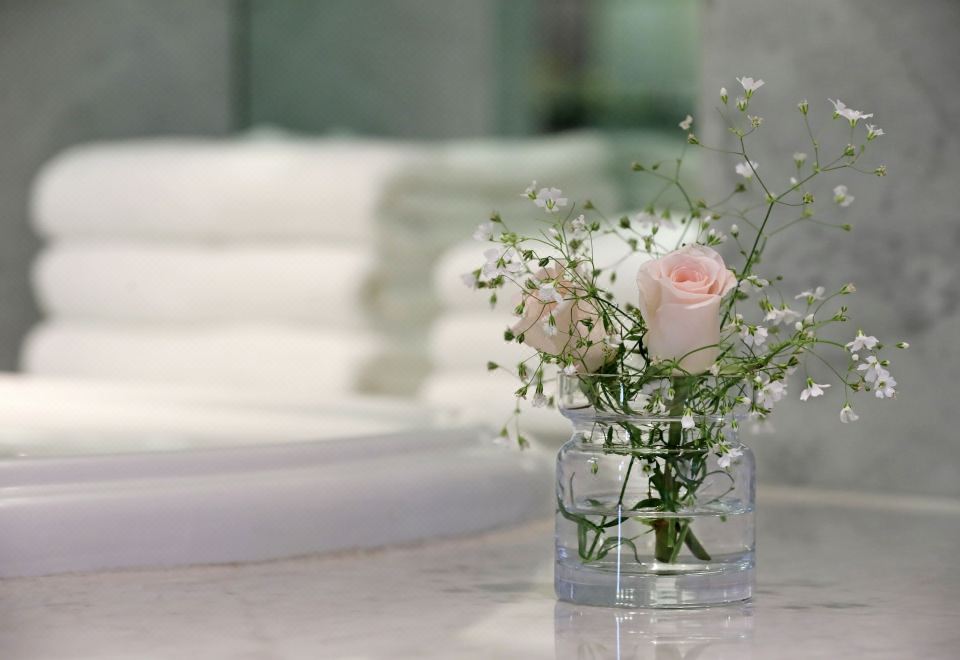 Park Hyatt Mendoza Hotel Casino and SpaTwin Room with City View