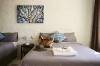 Solitaire Roadhouse Hotels in 