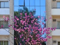 Vip Hotel Hotels in Jau