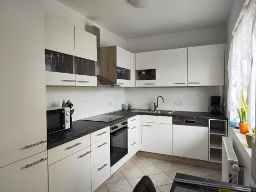 一卧室公寓 - 带露台